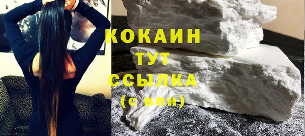 спайс Богданович