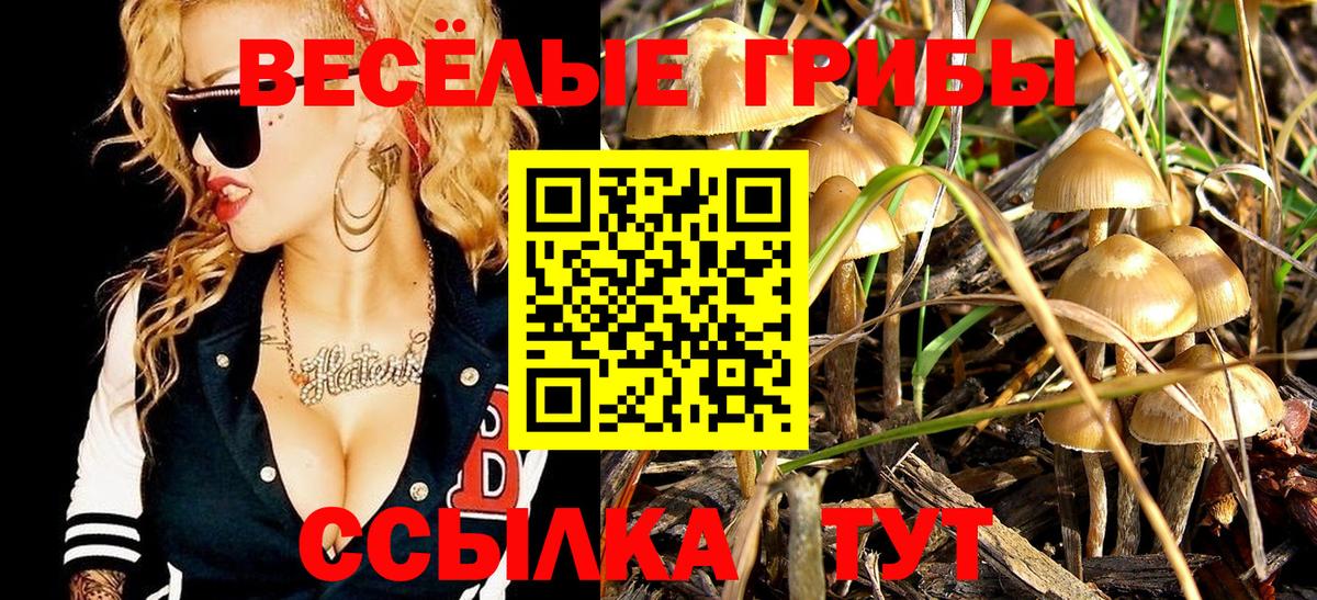 Галлюциногенные грибы Cubensis  Псилоцибиновые грибы мухоморы  Вход с VPN  Дальнегорск 
